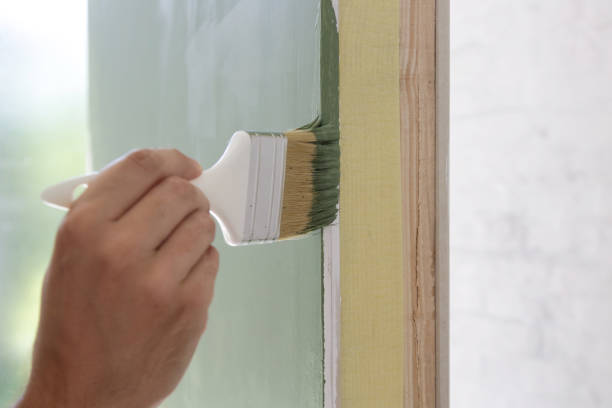 Best Basement Mold Removal  in Allouez, WI