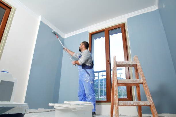 Dehumidification Services in Allouez, WI