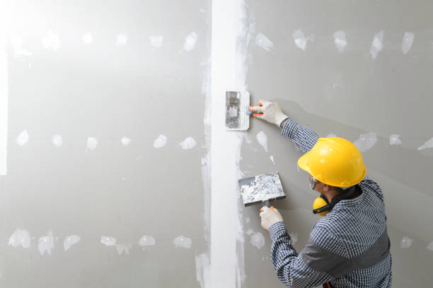 Best Post-Remediation Verification Testing  in Allouez, WI
