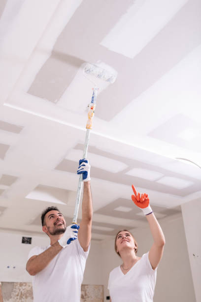 Best Biohazard Mold Removal  in Allouez, WI