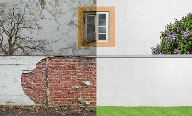 Best Water Damage & Mold Remediation  in Allouez, WI