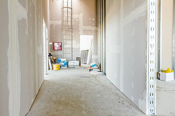 Best Asbestos and Lead Testing During Mold Inspection  in Allouez, WI