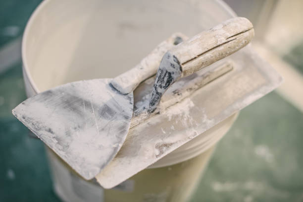 Best Mold Damage Restoration  in Allouez, WI
