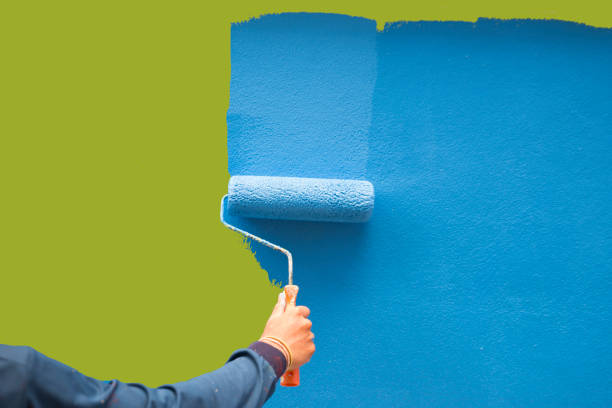Environmental Consulting for Mold Prevention in Allouez, WI
